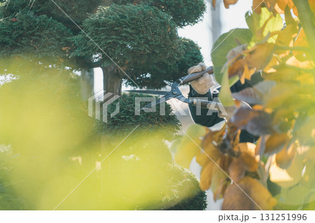 Japanese Gardener 131251996