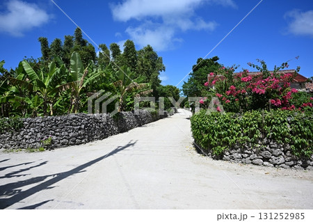 竹富島　集落の町並み 131252985