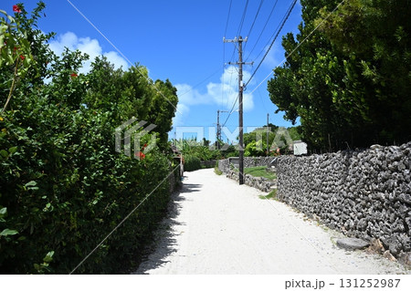 竹富島　集落の町並み 131252987