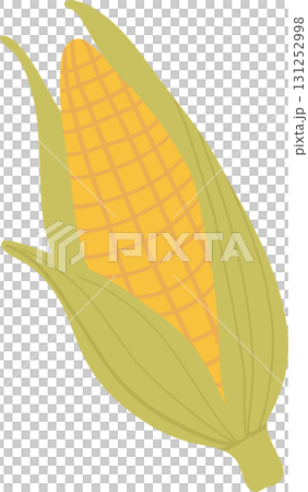 sweetcorn autumn harvest flat design illustration of seasonal food for holiday celebration sweetcorn autumn harvest flat design illustration of seasonal food for holiday celebration 131252998