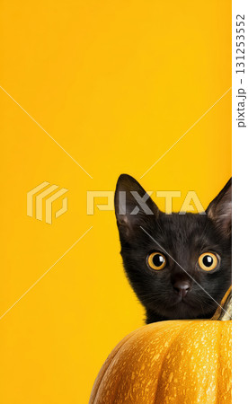 Black Cat Peeking Behind Pumpkin on Bright Yellow Background Black Cat Peeking Behind Pumpkin on Bright Yellow Background 131253552