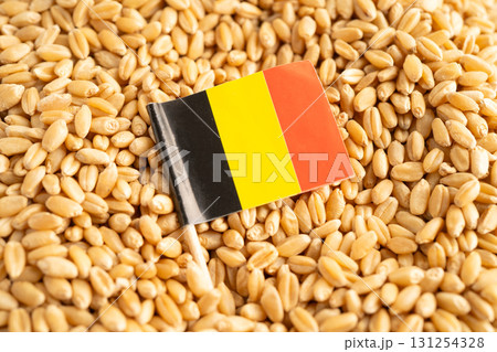Germany flag with Wheat and grains ears agricultural, organic farm 131254328