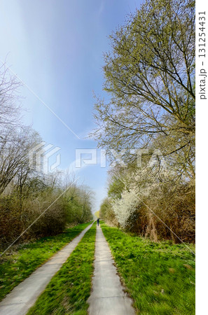 A Serene Pathway Meandering Through a Lush Green and Vibrant Landscape Awaits You A Serene Pathway Meandering Through a Lush Green and Vibrant Landscape Awaits You 131254431