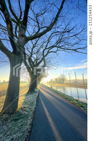 An Exquisite Serene Winter Pathway beautifully adorned with Trees and their Gorgeous Reflections An Exquisite Serene Winter Pathway beautifully adorned with Trees and their Gorgeous Reflections 131254433