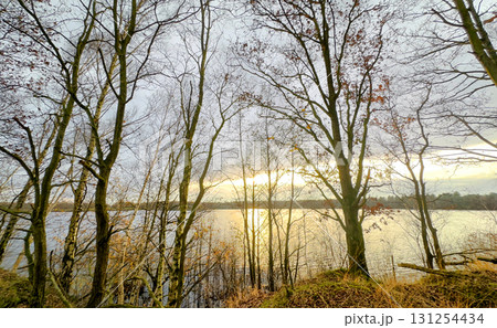 The Tranquil Sunset Reflection Over a Serene Lake, Beautifully Surrounded by Trees and Nature The Tranquil Sunset Reflection Over a Serene Lake, Beautifully Surrounded by Trees and Nature 131254434