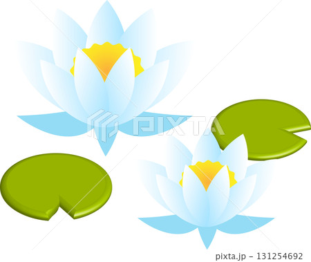 睡蓮の花とハスの葉のイラスト素材 睡蓮の花とハスの葉のイラスト素材 131254692