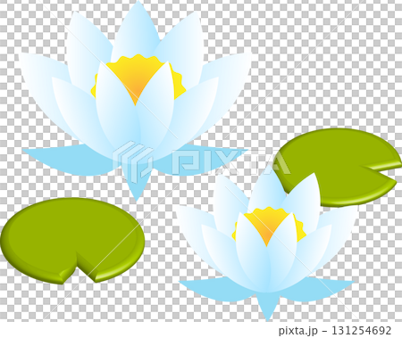 Illustration material of water lilies and lotus leaves Illustration material of water lilies and lotus leaves 131254692