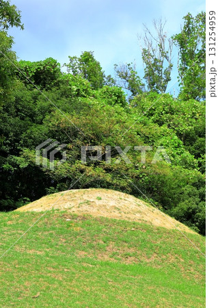 特別史跡 キトラ古墳 特別史跡 キトラ古墳 131254959