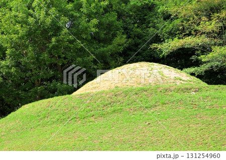 特別史跡 キトラ古墳 特別史跡 キトラ古墳 131254960
