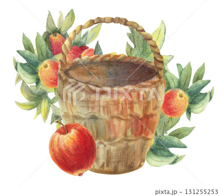 Big red apple. Empty retro wicker brown basket. Branch with ripe fruits green leaves, round ceramic plate from clay. Watercolor isolated illustration for cooking book menu, banners, cards, clip art. Big red apple. Empty retro wicker brown basket. Branch with ripe fruits green leaves, round ceramic plate from clay. Watercolor isolated illustration for cooking book menu, banners, cards, clip art. 131255253