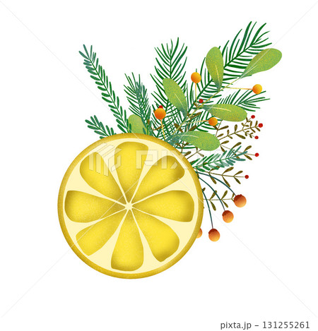 Spruce branches, slice of juicy lemon, red berries, green leaves. Illustration hand drawn. For Xmas and New Year presents, holiday decoration, sticker packs banner, greeting cards and clip art. 131255261