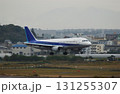 町並みを背景に空港に着陸する飛行機 131255307