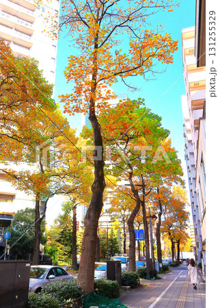 秋色に染まったプラタナスの並木道 131255329