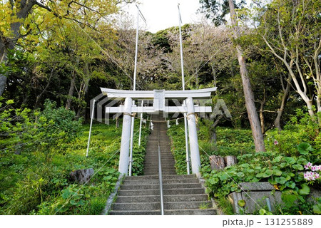 森浅間神社 参道 森浅間神社 参道 131255889
