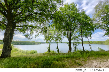 A peaceful and tranquil lakeside landscape beautifully surrounded by lush green trees and nature 131256210