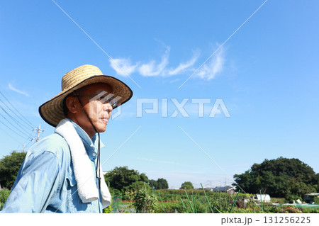 畑で作業するシニア男性 131256225