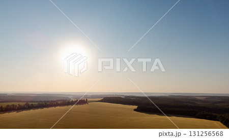 Sun shining on golden wheat agriculture fields Sun shining on golden wheat agriculture fields 131256568