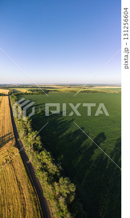 Aerial Sunny Summer Agriculture Fields Scenery Aerial Sunny Summer Agriculture Fields Scenery 131256604