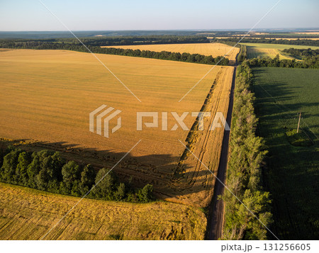 Aerial rural scenery with golden wheat fields Aerial rural scenery with golden wheat fields 131256605