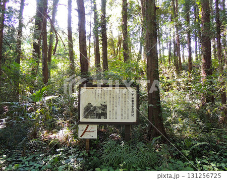 二十二番 童子堂跡地 二十二番 童子堂跡地 131256725