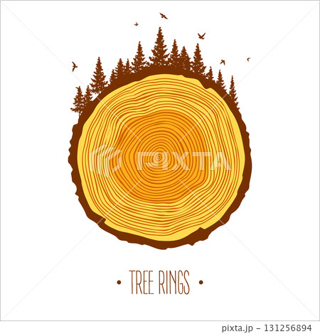 Round tree trunk cut with trees, forest and birds. Sawn pine or oak slice, lumber. Saw cut timber, wood. Brown wooden texture with tree rings. Hand drawn sketch. Vector illustration 131256894