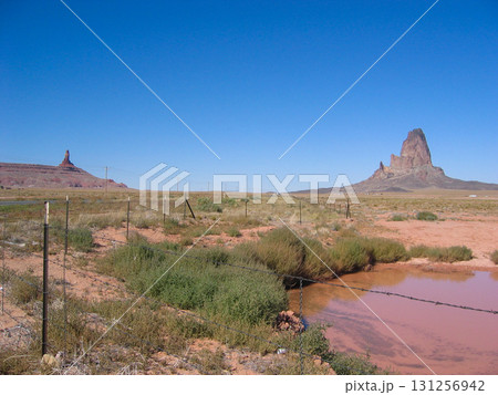 アメリカのモニュメントバレー 131256942