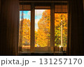 Window in sunlight autumn yard. Looking through home windows in fall street 131257170