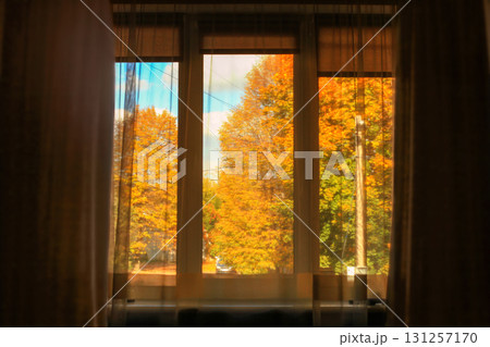 Window in sunlight autumn yard. Looking through home windows in fall street Window in sunlight autumn yard. Looking through home windows in fall street 131257170