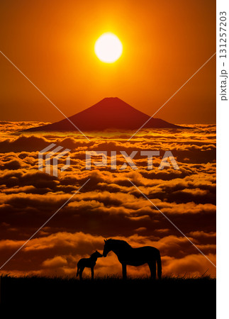 朝の空に富士山と馬のシルエット 朝の空に富士山と馬のシルエット 131257203