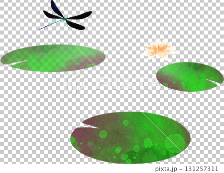 Illustration material of water lilies and dragonflies 131257311