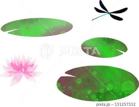 睡蓮とハグロトンボのイラスト素材　ベクター 131257312