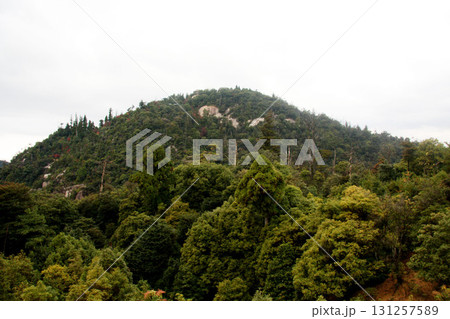 弥山　宮島　厳島神社　広島県 131257589