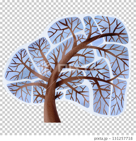 Snow-covered trees. Watercolor illustration of winter plants for greeting cards, children's illustrations, and nurseries. 131257718
