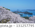 満開の桜と松島湾の絶景風景 131257795