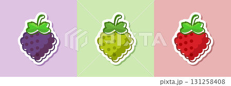Grape, blueberry, raspberry sticker fruit icon set collection in flat style. Berry vector illustration on isolated background. Nature snack sign business concept. Grape, blueberry, raspberry sticker fruit icon set collection in flat style. Berry vector illustration on isolated background. Nature snack sign business concept. 131258408