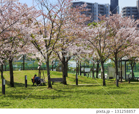 広尾防災公園・千葉県市川市 広尾防災公園・千葉県市川市 131258857