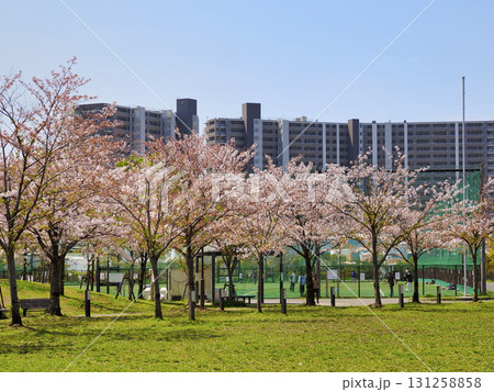 広尾防災公園・千葉県市川市 131258858