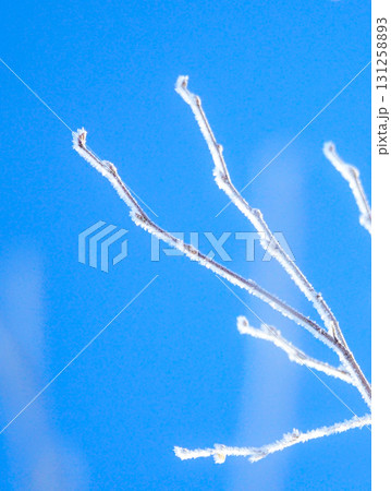 真冬の北海道の朝に青空と霧氷のある風景 131258893