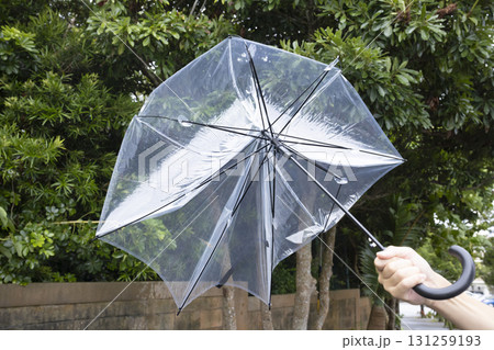 強風で壊れたビニール傘 強風で壊れたビニール傘 131259193