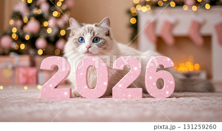 Ragdoll cat with bright blue eyes lying behind pink 2026 numbers in a cozy, festive Christmas setting. 131259260