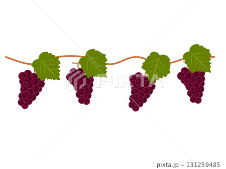 ぶどう畑のイラスト 131259485