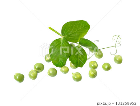 Green peas and leaves isolated on white Green peas and leaves isolated on white 131259952
