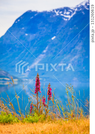 Mountains and fjord in Norway, Mountains and fjord in Norway, 131260619