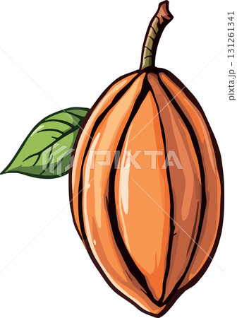 Vsai ripe cocoa pod hanging from branch with leaf showing botanical details Vsai ripe cocoa pod hanging from branch with leaf showing botanical details 131261341