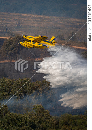 Yellow Firefighting Plane in Action Against Wildfire Yellow Firefighting Plane in Action Against Wildfire 131261608