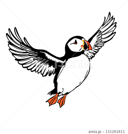 Vsai atlantic puffin flying with open wings and orange beak 131261611