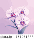 Vsai delicate purple orchid flowers blooming gently on purple background 131261777