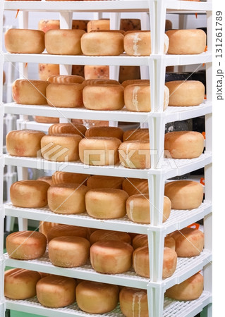 Cheese Wheels Aging on Shelves in a Creamery, Dairy Production, and Cheese Making Process 131261789