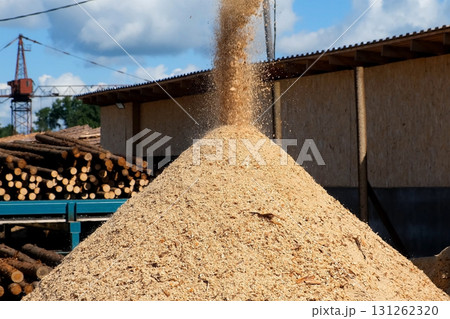 Wooden sawdust pour from chopping machine on heap outdoors at woodworking plant. 131262320