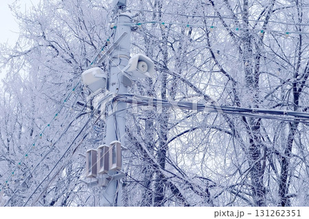Streetlight lamp and power line on the background of snowy trees in winter. 131262351